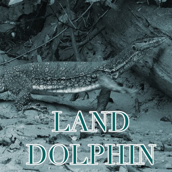 Artwork for the 'Land Dolphin'. A lizard like creature is walking along a beach.
